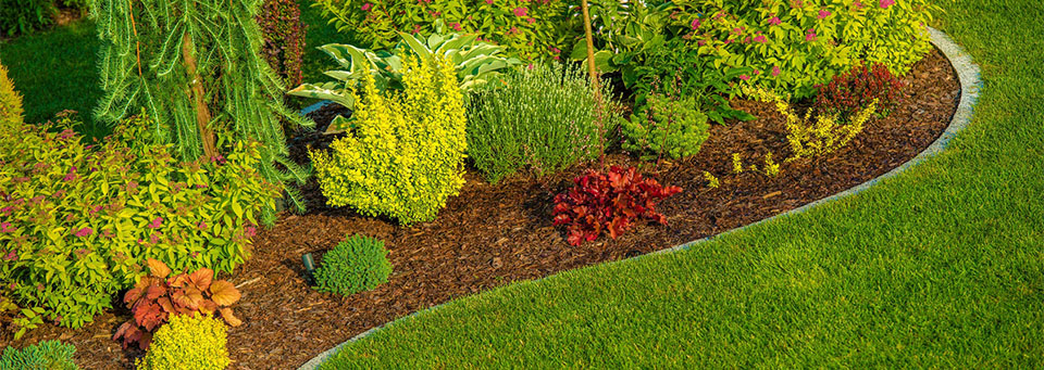Newly Designed Garden Closeup Photo. Backyard Garden.